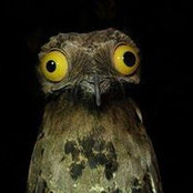 Heike Ebert's photo