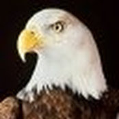 Finley Crowe's photo