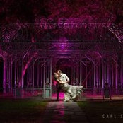 Lorrianne Morrow-Segel's photo