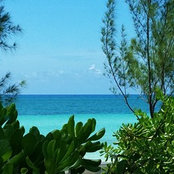 Oceanz Azul's photo