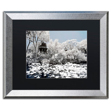 Philippe Hugonnard 'Lotus Lake III' Art, Silver Frame, Black Matte, 20"x16"
