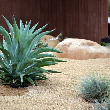 Sustainable Garden