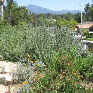 Secluded In Mission Viejo