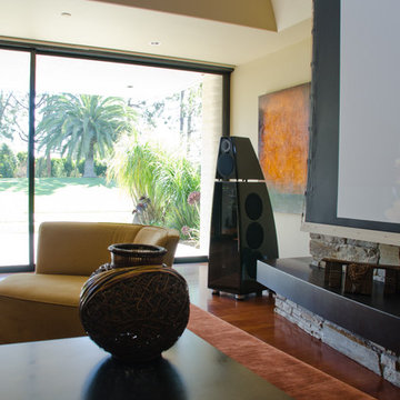 Modern Transitional Living Room