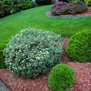Traditional Front Yard Landscape