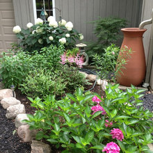Rain Garden