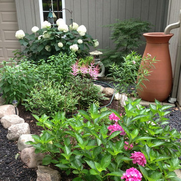 Rain Garden Milford Michigan