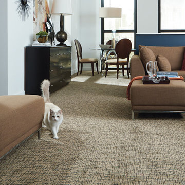 Tuftex Carpets of California Inspirational Room Scenes
