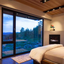 Master BR Fireplace