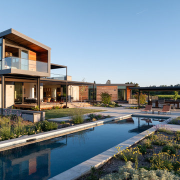 Vineyard Oasis