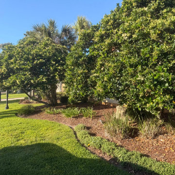 Elegant Landscape Renovation & Decorative Rock Installation