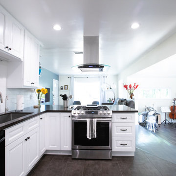 Modern and Bold Kitchen Remodel in Redondo Beach, CA