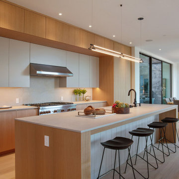 Mill Valley Contemporary