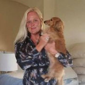 Tami Searcey's photo