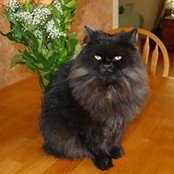 Marge Gemelli's photo