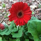 Cristina Colon's photo