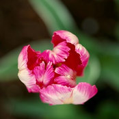 Molly Schneider's photo