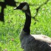 Paul Love's photo