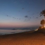 Anna Pauly's photo