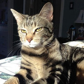 happycatz's photo