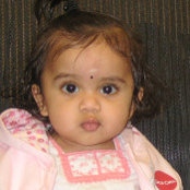 Sreenivas Babu's photo