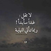 محمد رمان's photo