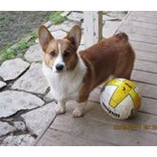 Ginger Holzapfel's photo