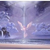 Donna McClure's photo