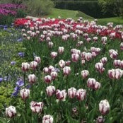 Heather Giacometti's photo