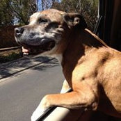 Candice Soutter's photo