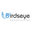 Birdseye Construction LLC