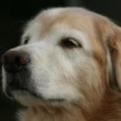Maria Mansfield's photo
