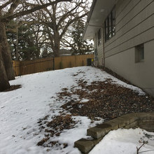 Our landscape