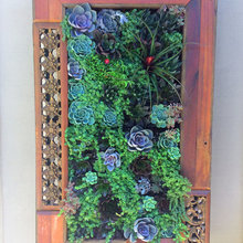 front wall ideas