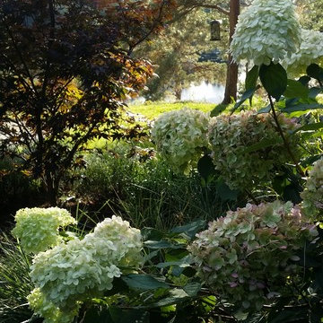 Plantering och Skötsel