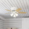Hunter Fan Company 42" Builder Low Profile Ceiling Fan With Light