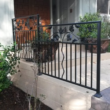 Fencing and Pedestrian Gates