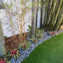 my yard