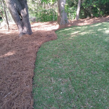 Residential client