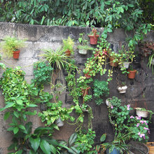 Landscape Ideas