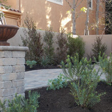 frontyard makeover