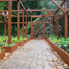Garden growing.