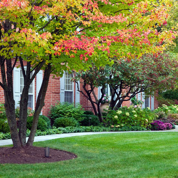 Suburban Retreat