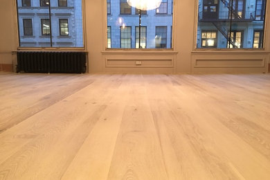 Example of a minimalist light wood floor family room design in New York