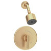 Dia Shower Trim Kit With Brass Escutcheon, Single Handle, Brushed Bronze