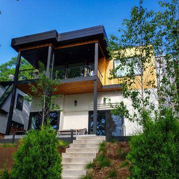 Minneapolis Whole Home Renovation