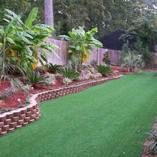 Backyard ideas