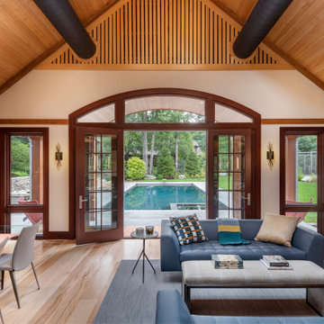 Tray Ceiling Ideas Living Room