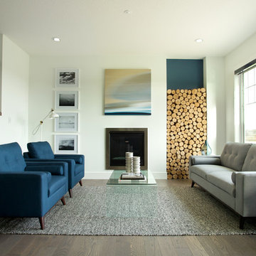 Contemporary Living Room