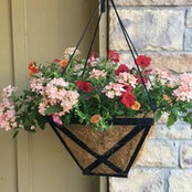 Stacy W's photo